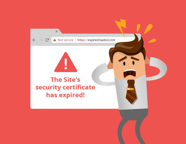 Что такое SSL-сертификат, какими он бывает и зачем он нужен